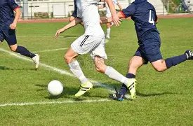 米博体育,资讯,米博体育平台,米博体育平台,米博体育官方网站,米博体育登录入口,米博体育app下载