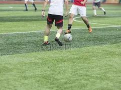 支付公司探,领域,能否突破收,米博体育平台,米博体育官方网站,米博体育登录入口,米博体育app下载