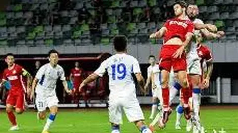 吴彬副主席荣获俄罗斯“友谊勋章”